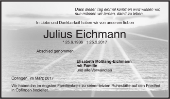 Traueranzeige von Julius Eichmann von Ehinger Tagblatt