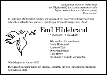 Traueranzeige von Emil Hildebrand von Ehinger Tagblatt