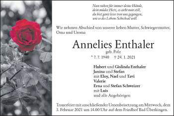 Traueranzeige von Annelies Enthaler von Geislinger Zeitung