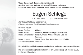 Traueranzeige von Eugen Schlegel von Ehinger Tagblatt