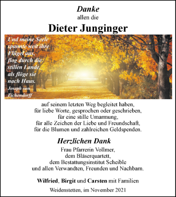 Traueranzeige von Dieter Junginger von SÜDWEST PRESSE Ausgabe Ulm/Neu-Ulm