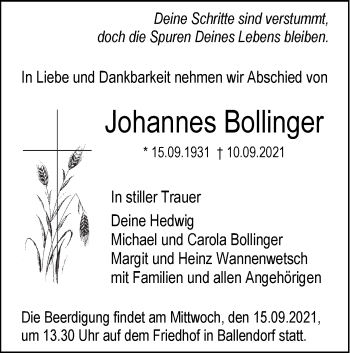 Traueranzeige von Johannes Bollinger von SÜDWEST PRESSE Ausgabe Ulm/Neu-Ulm