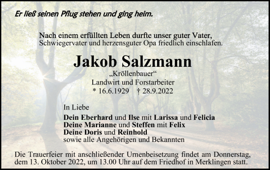 Traueranzeige von Jakob Salzmann von SÜDWEST PRESSE Ausgabe Ulm/Neu-Ulm