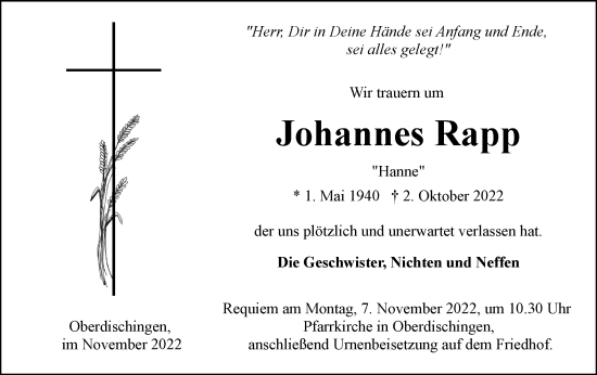 Traueranzeige von Johannes Rapp von SÜDWEST PRESSE Ausgabe Ulm/Neu-Ulm