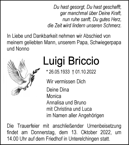 Traueranzeige von Luigi Briccio von SÜDWEST PRESSE Ausgabe Ulm/Neu-Ulm