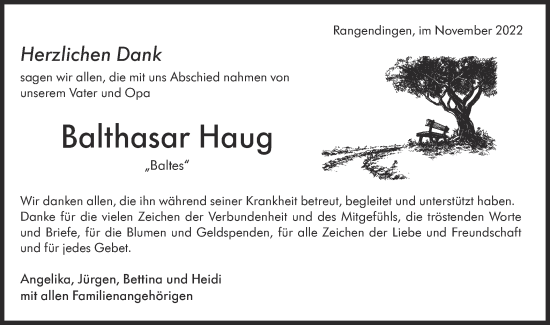 Traueranzeige von Balthasar Haug von Metzinger-Uracher Volksblatt