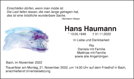 Traueranzeige von Hans Haumann von SÜDWEST PRESSE Ausgabe Ulm/Neu-Ulm