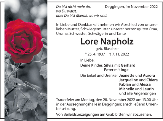 Traueranzeige von Lore Napholz von Geislinger Zeitung