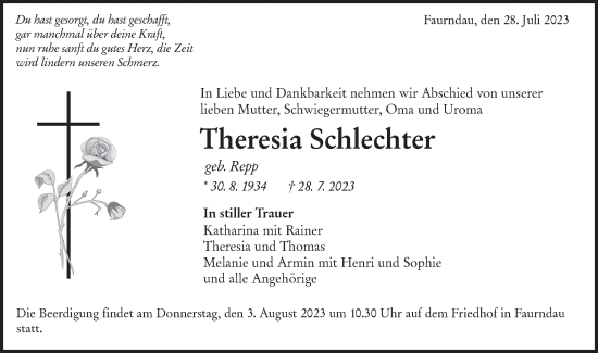 Traueranzeige von Theresia Schlechter von NWZ Neue Württembergische Zeitung