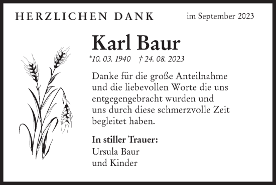 Traueranzeige von Karl Baur von NWZ Neue Württembergische Zeitung