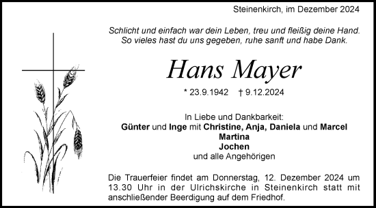 Traueranzeige von Hans Mayer von Geislinger Zeitung