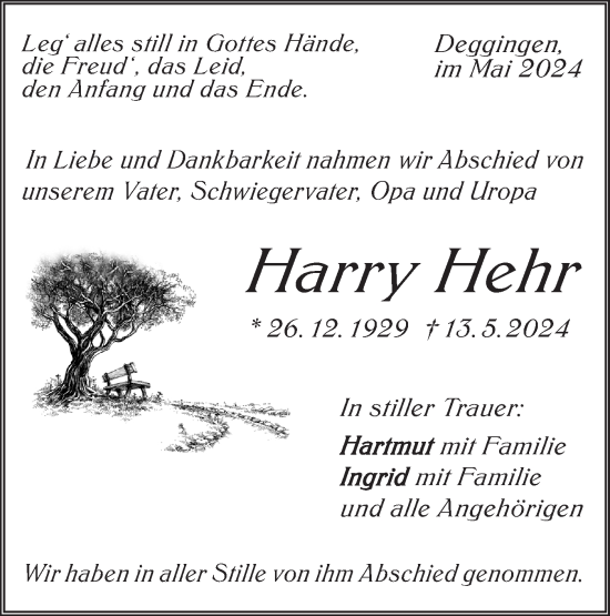 Traueranzeige von Harry Hehr von Geislinger Zeitung